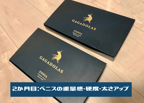 2か月目:ペニスの重量感・硬度・太さアップ