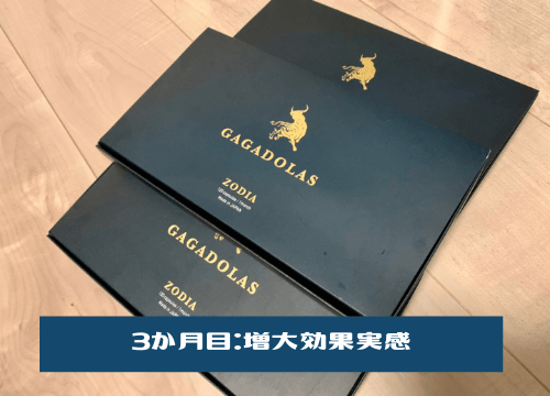 3か月目:増大効果実感